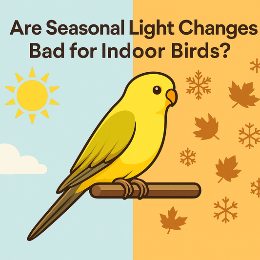 Are Seasonal Light Changes Bad for Indoor Birds?