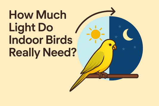 How Much Light Do Indoor Birds Really Need?