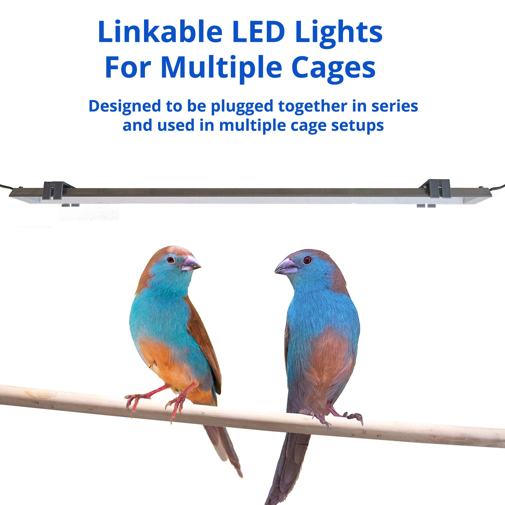 Stunning Led Lighting Options For Parrot Show Cages With Led Lights image