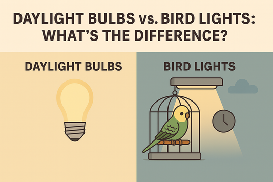 Daylight Bulbs vs. Bird Lights: What’s the Difference?