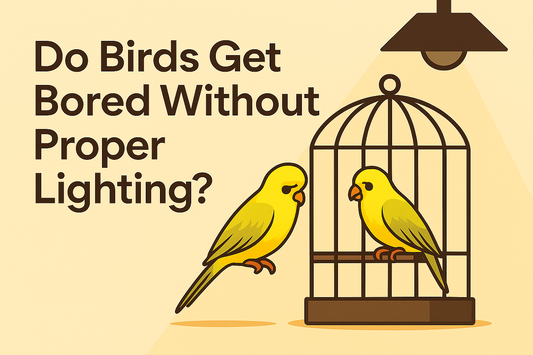 Do Birds Get Bored Without Proper Lighting?