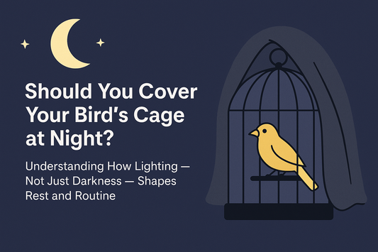 Should You Cover Your Bird’s Cage at Night?