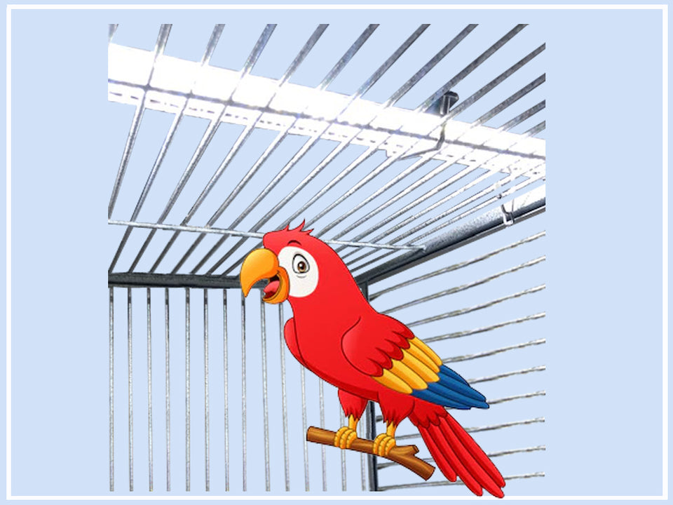I vantaggi dell'illuminazione artificiale per gli uccelli