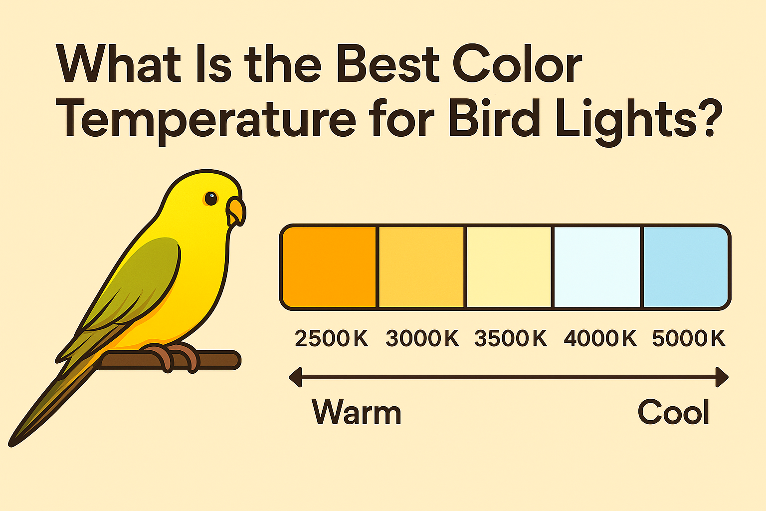 Temperature Birds What Is the Best Color Temperature for Bird Lights? – M&M Cage Company