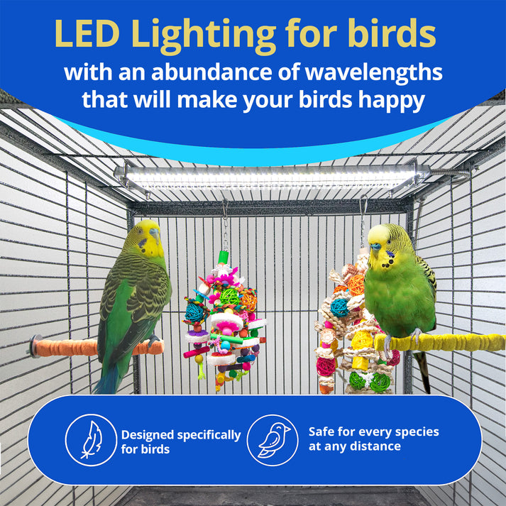 PetLight with Chew Guard – Durable LED Light for Birds – M&M Cage Company