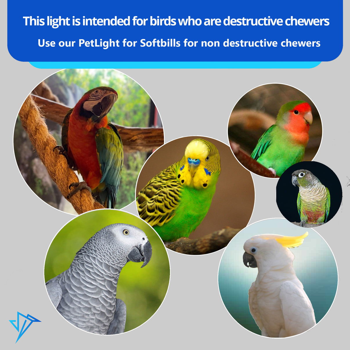 Photo inspiration: Petlight With Chew Guard Durable Led Light For Birds Photo Inspiration