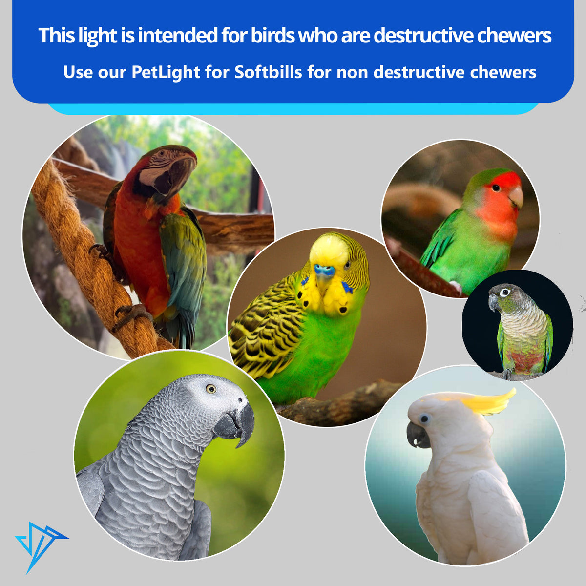 PetLight with Chew Guard – Durable LED Light for Birds – M&M Cage Company