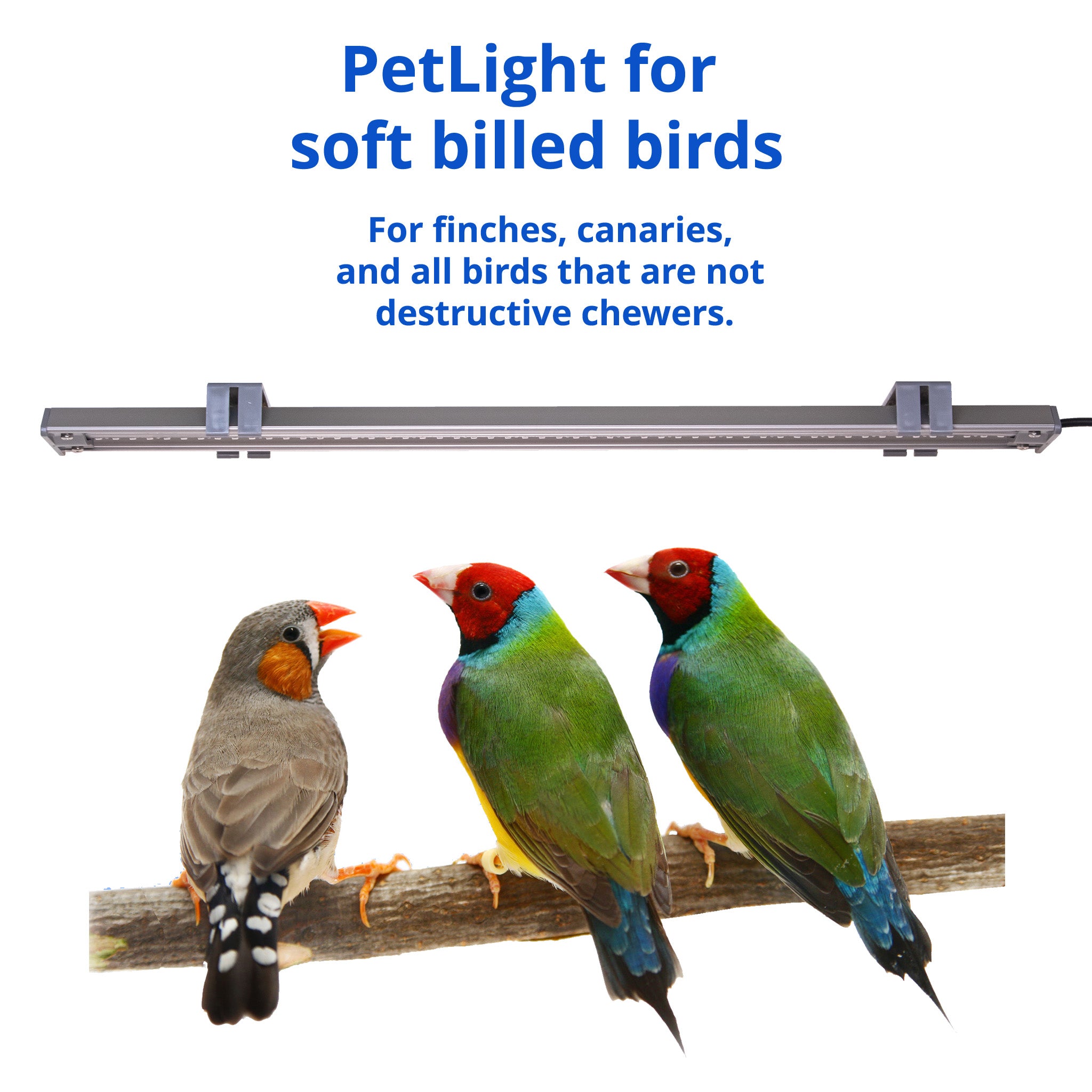 Premium Bird Cage Lights – Safe LED Lighting for Birds | M&M Cage Comp ...