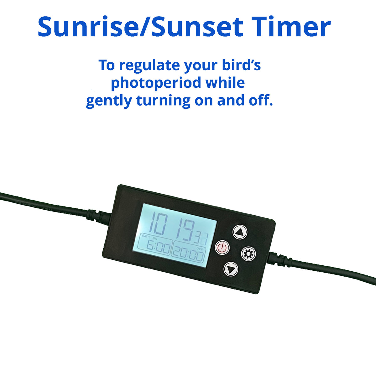 Sunrise & Sunset Timer for Bird Lights | M&M Cage Company