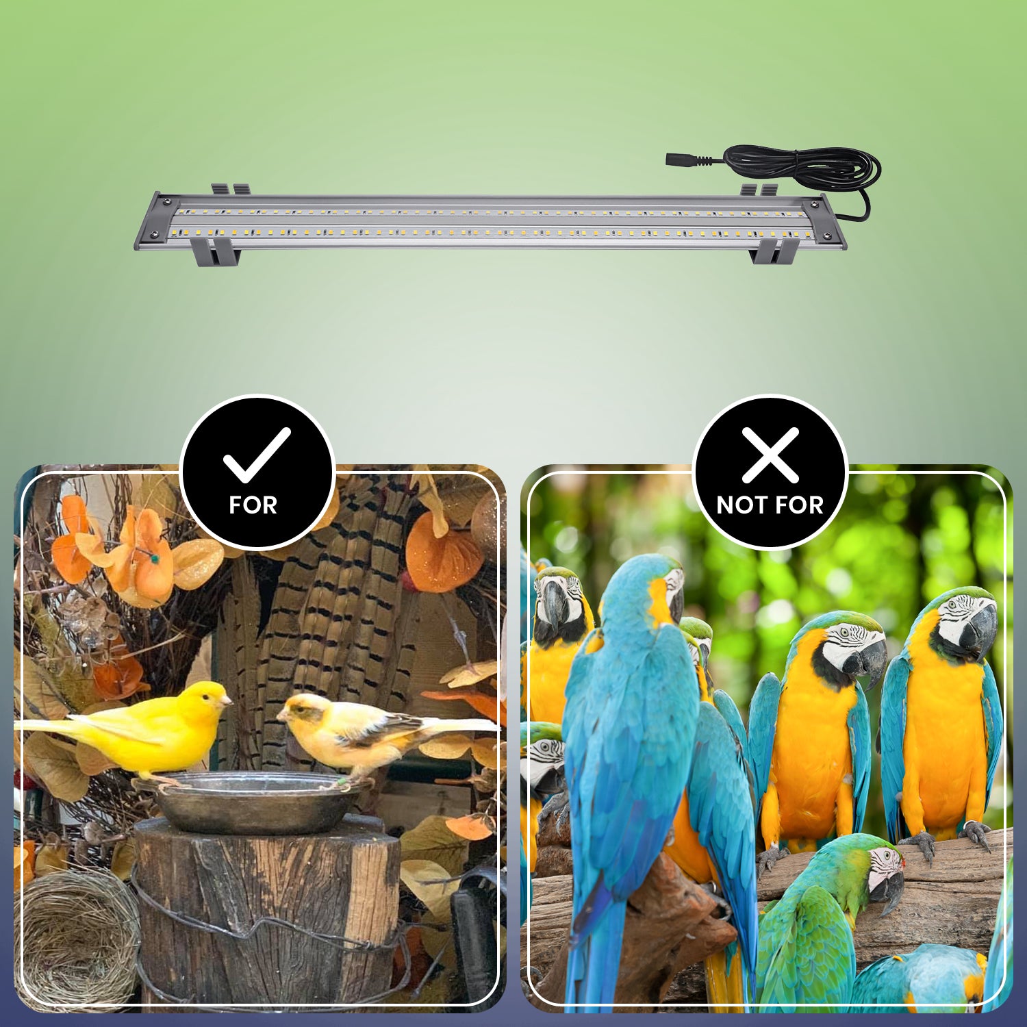 Full Spectrum Led Lights for Birds (2021 Engineering) M&M Cage Company