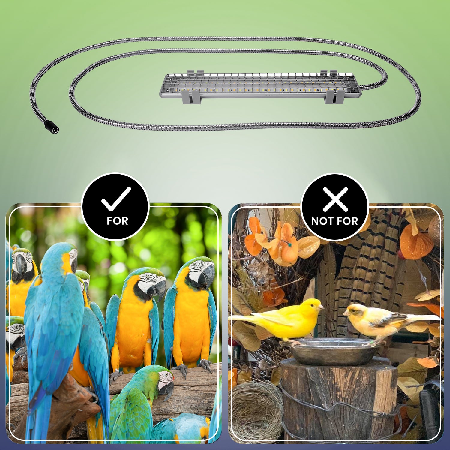 Full Spectrum LED Lights for Parrots M&M Cage Company